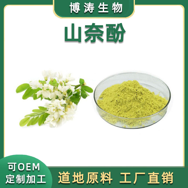 山奈酚98% Kaempferol槐角提取物 山奈酚 量大从优 现货包邮
