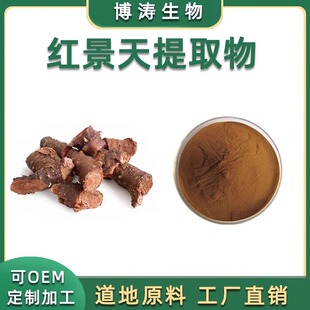 红景天提取物  络塞维 红景天甙3%5%98%红景天苷