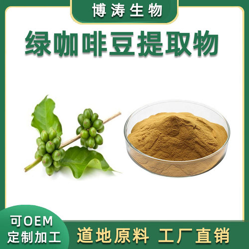 绿咖啡豆提取物 20:1绿咖啡豆绿原酸50%浓缩粉末精华原料源头直供