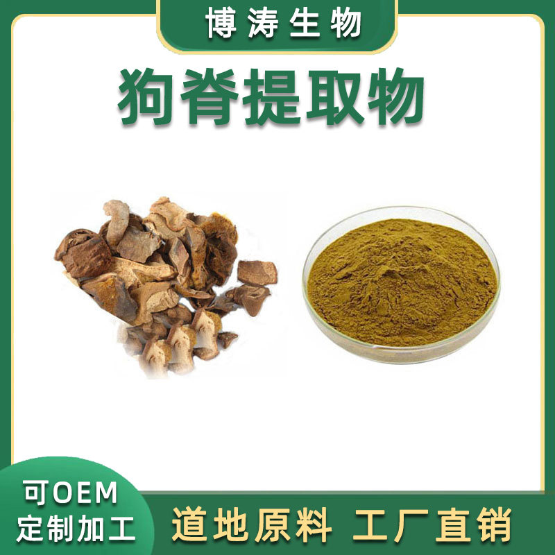 狗脊提取物 金毛狗脊天然萃取水提比例浓缩精华粉末 水溶粉 品质