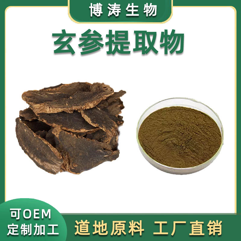 玄参提取物精华浓缩赠送
