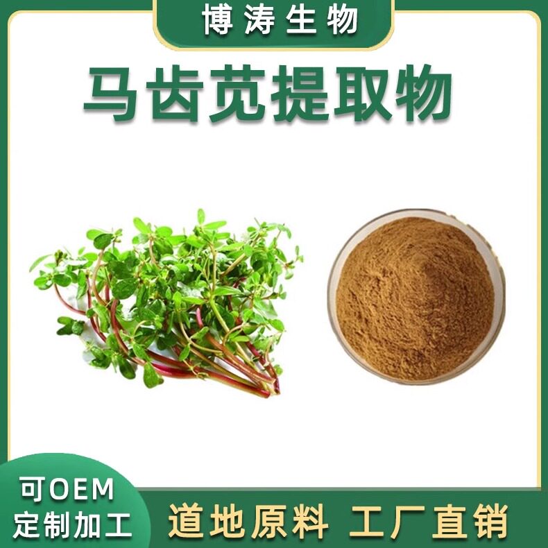 马齿苋提取物五行草水溶浓缩粉