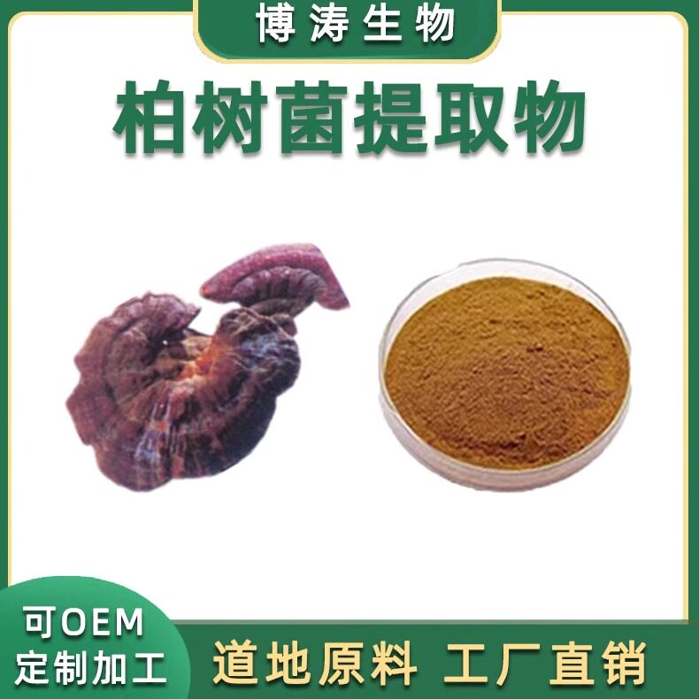 柏树提取物多糖水溶免煎粉浓缩