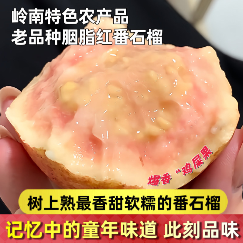 广州增城胭脂红芭乐树上熟红心番石榴粉嫩软糯香甜鸡屎果孕妇顺丰