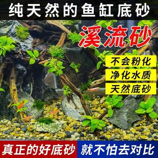 天然溪流石 风化土鱼缸专用铺底砂石菖蒲土培优质专用土水培底沙