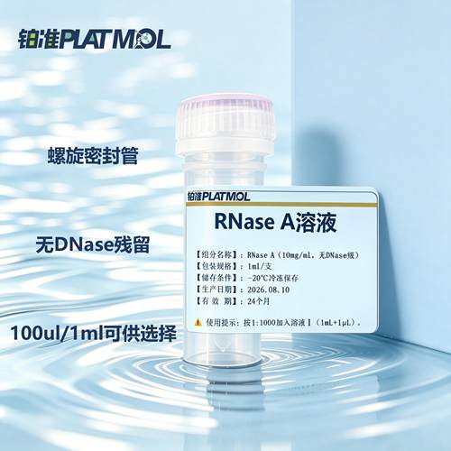 RNase A溶液10mg/mL无DNase独立小管装质粒提取去除RNA杂质