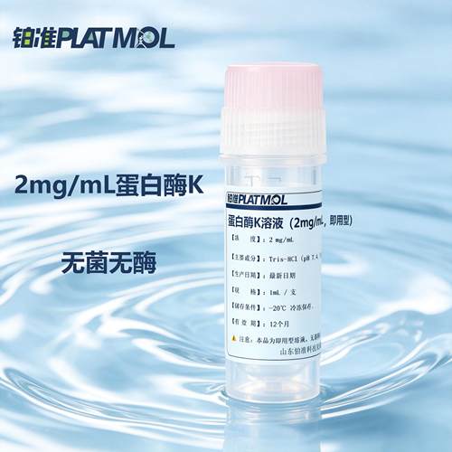 2mg/ml蛋白酶K消化液蛋白酶K稀释液储备液无DNase无RNase