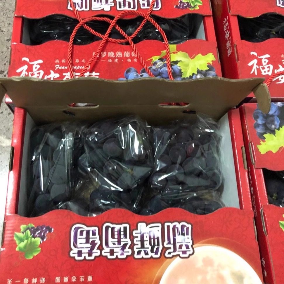 松罗巨峰葡萄甜过初恋味道新鲜水果当季孕妇爱吃福安葡萄福建包邮