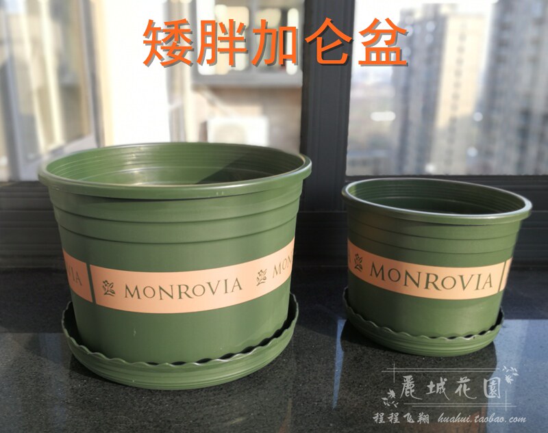 矮加仑盆PP环保塑料花盆
