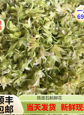 当天现采铁皮石斛鲜花