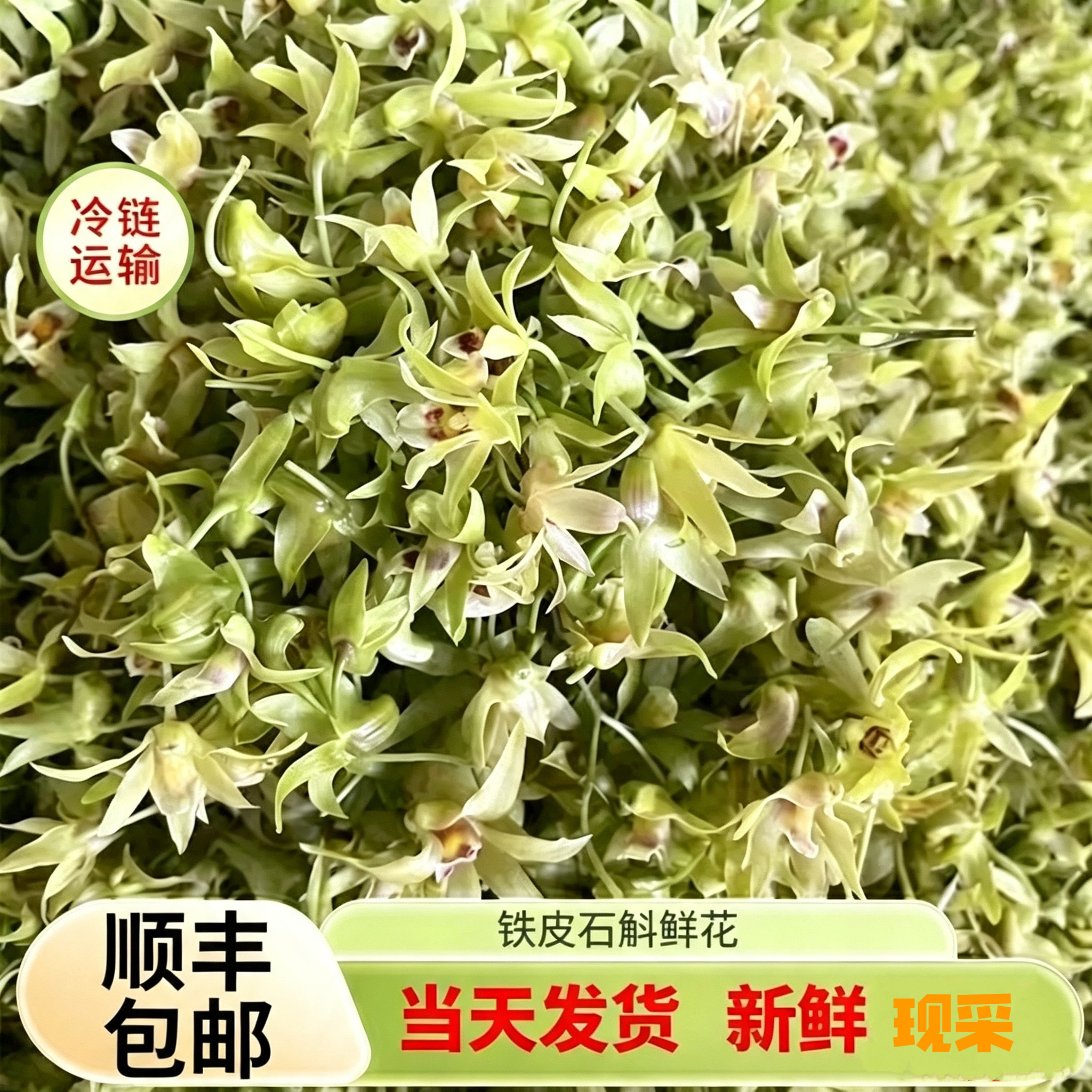 顺丰包邮铁皮石斛鲜花新鲜食用一斤铁皮枫斗新花正宗基地直发