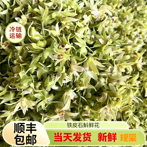 当天现采铁皮石斛鲜花