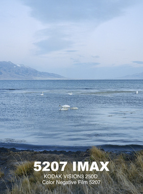 KODAK柯达120规格IMAX彩色分装电影胶片胶卷5207 5219 5203 5213