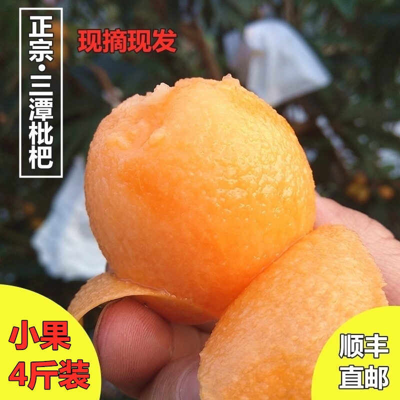 黄山三潭枇杷果新鲜孕妇水果五星农家树熟野生土枇杷小果琵琶顺丰