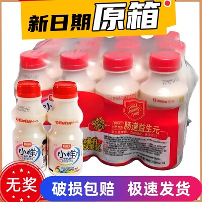 小样乳酸菌饮料儿童早餐成人饮品早餐酸奶
