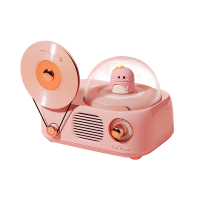 生日礼物送女朋友实用高级感小众