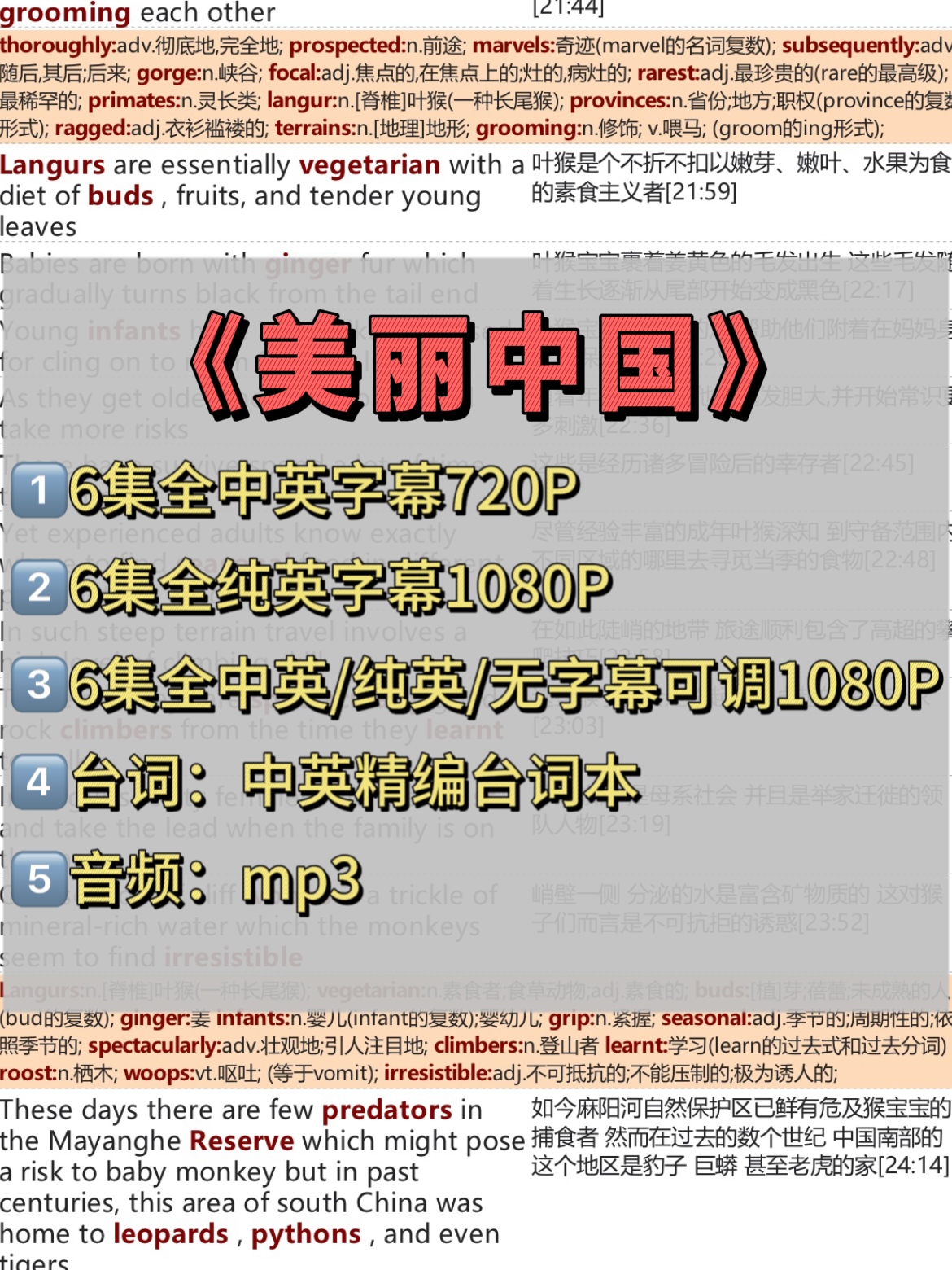 美丽中国台词本中英对照A4排版可打印PDF翻译台词剧本电子版