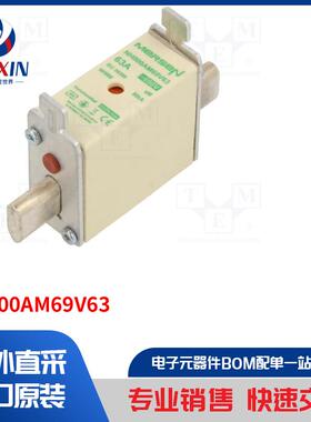 NH000AM69V63 保险丝类型-保险丝