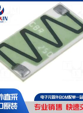 AC04000001000JAC00 电阻器类型-绕线