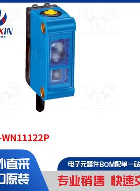CSM-WN11122P 传感器类型-彩色