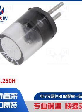 0273.250H 保险丝类型-保险丝