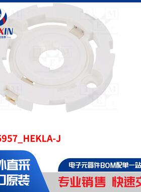 FP15957_HEKLA-J LED 配件类型-适配器