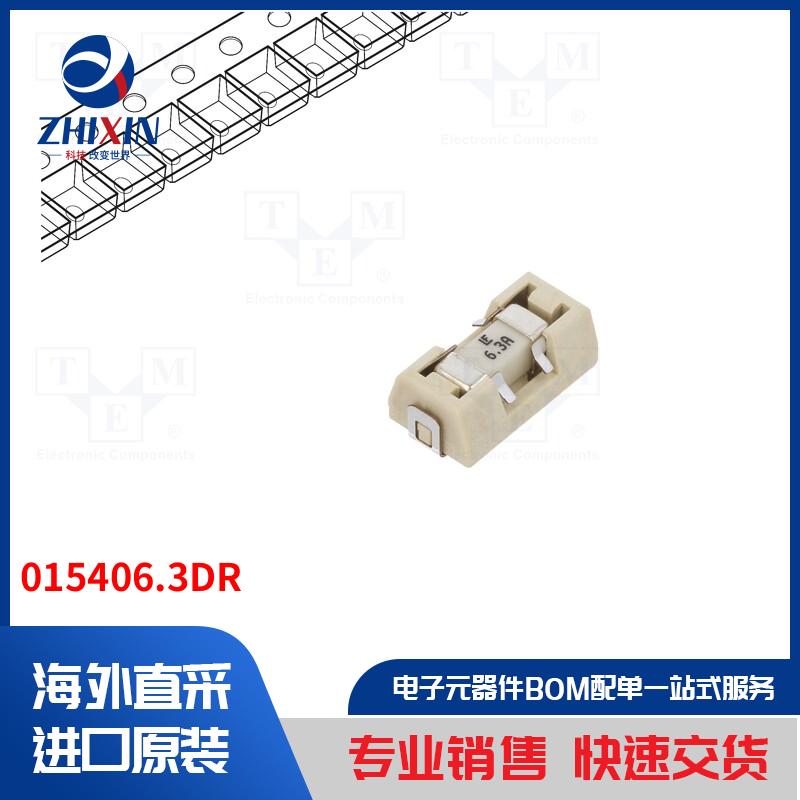 015406.3DR 保险丝类型-保险丝