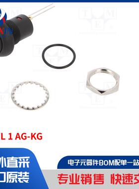 DPWL 1 AG-KG 开关类型-按钮