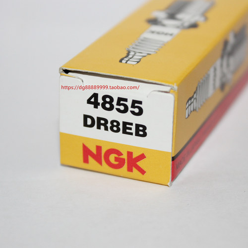 NGK火花塞DR8EB适用于摩托车隆鑫650 F650CS F650GS G650火嘴