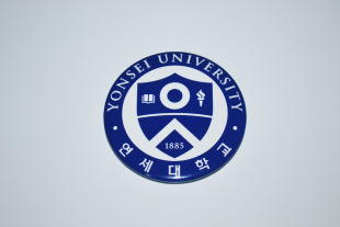 世界名校周边 韩国延世大学 徽章胸针胸章冰箱贴启瓶器 现货定制
