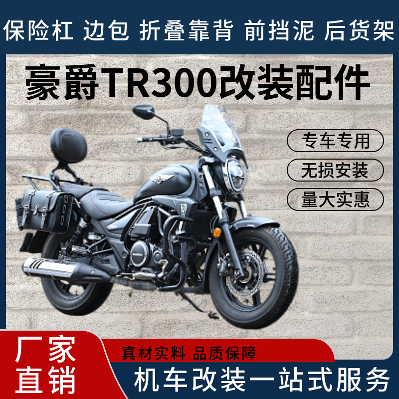 豪爵TR300折叠靠背摩托车改装件