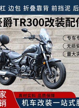 适用豪爵TR300都市版plus铝合金折叠靠背后货架旅行版摩托车改装