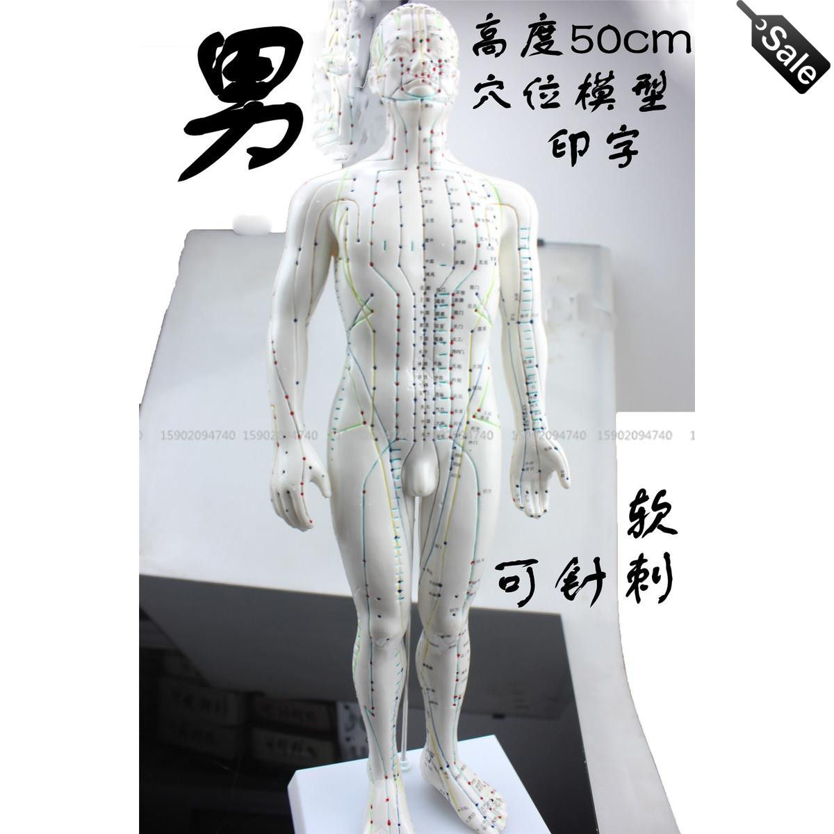 清晰人体穴位模型白色硅胶中医学按摩全身经络通针灸教学小人模型