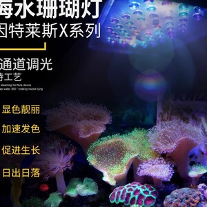智控海洋X240珊瑚灯海水鱼缸灯LED灯全光谱日出日落WIFI海缸灯