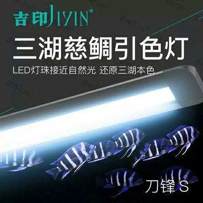 吉印三湖慈鲷鱼灯引三基色防水