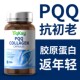 Yqksy美国进口PQQ线粒体亚精胺胶原衰老细胞营养素高纯度童颜胶囊