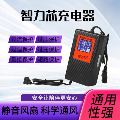 数显电动车电瓶充电器48V60V72V 天能超威智能断电修复三轮车通用