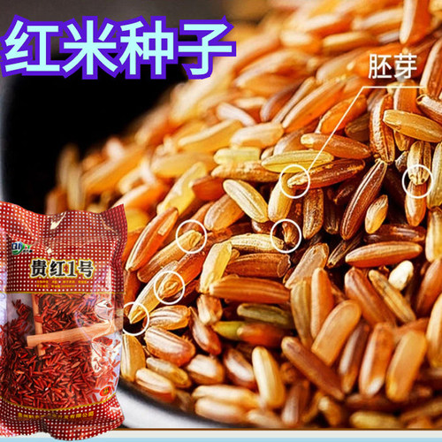 原装杂粮红米贵红1号水稻种子