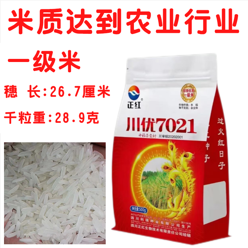 香米川优7021标准1级水稻种子