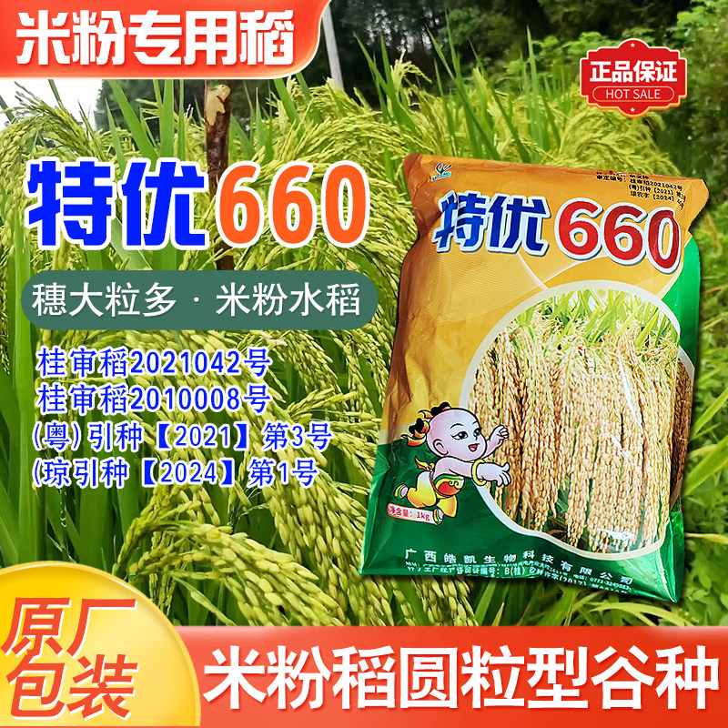 正品晚稻杂交水稻种子特优660可做米粉稻穗子大结实率高产量好