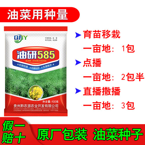 黄粒花粒油菜种子早熟油菜种油研585油菜种子香味浓抗倒伏100g袋
