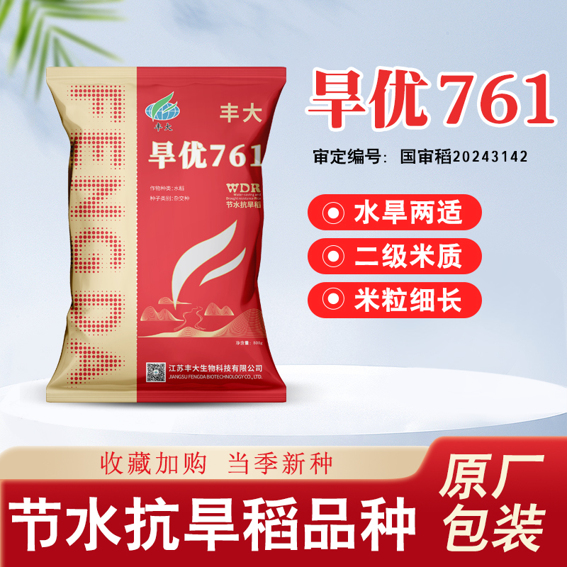 旱优761水稻种子旱稻专用 耐热性好 根系发达 节水抗旱抗倒