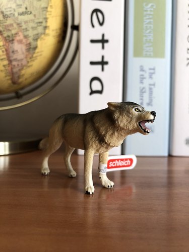 出口德国狼灰狼野生动物模型儿童玩具早教认知绘本摆件男孩