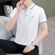 t恤夏季 轻奢半袖 短袖 男士 潮流商务翻领上衣潮流帅气体恤ins POLO衫