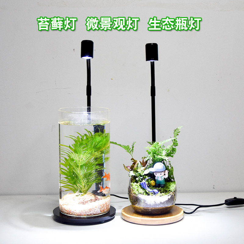 植物生长多肉全光谱花卉育苗绿植上色盆景微景观鱼缸补光灯射灯,宠物/宠物食品及用品,照明器材,淘宝优惠券,粉丝福利购,淘宝优惠卷
