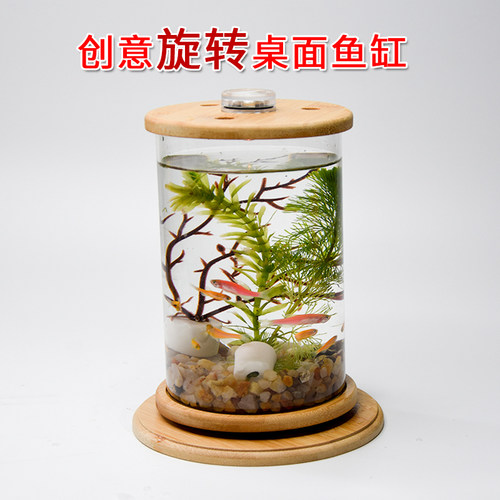 桌面旋转生态瓶观赏鱼