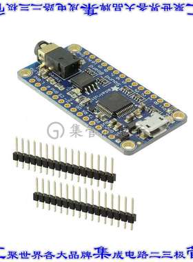 2220 开发板评估板 SND BRD WAV/OGG TRIG 16MB HDPHN