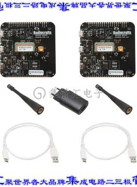 RC1880HP-RIIOT-DK 开发板评估板 HIGH POWER RIIOT DEVELOPMENT