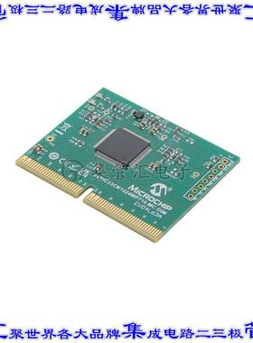 EV04L63A 开发板评估板 DSPIC33CK1024MP710 MC DIM