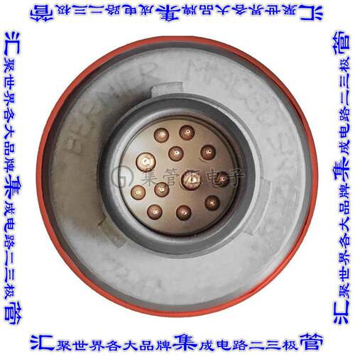 MMCSD 5N12FSA 连接器接插件MMCSD PLUG STAINLESS STEEL WITH